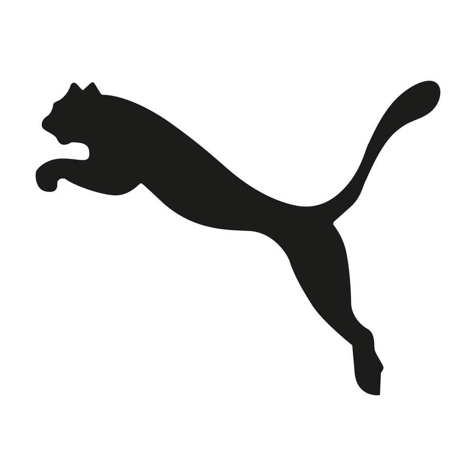 Partner organisation logo